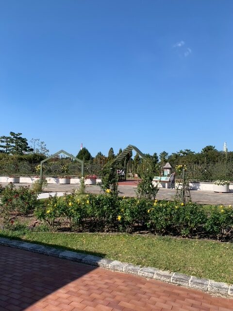 浜寺公園ばら公園